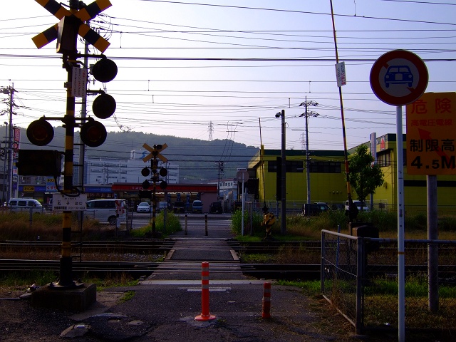 b0095061_944382.jpg