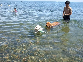 a0104162_20101436.jpg