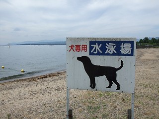 a0104162_2092469.jpg