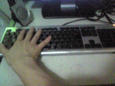 c0124966_163025.jpg