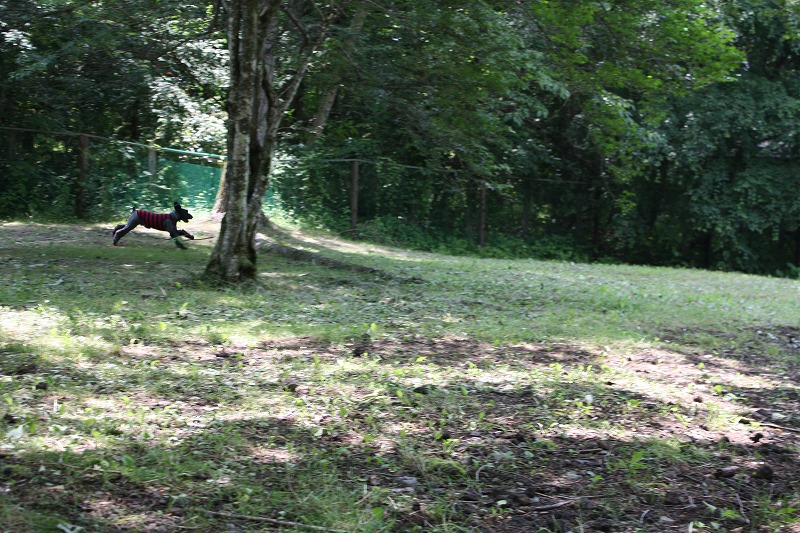 a0104569_21205396.jpg