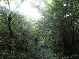 c0042869_2024351.jpg