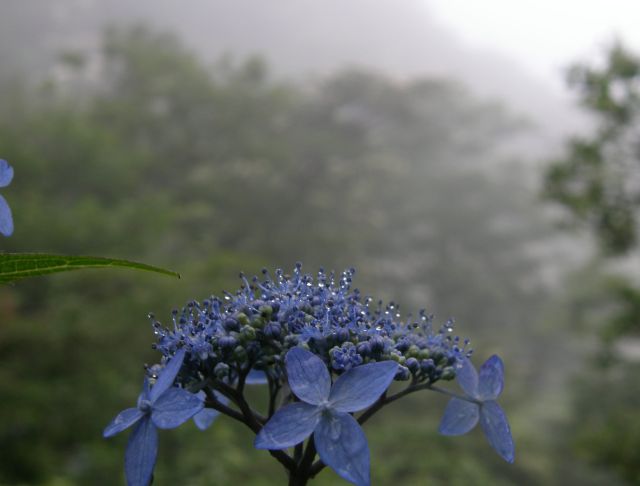 c0042869_2085162.jpg