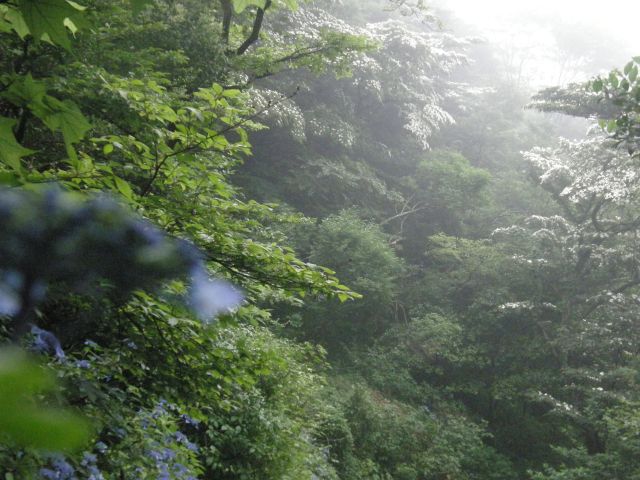 c0042869_2091771.jpg