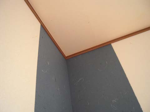 e0100469_8172841.jpg