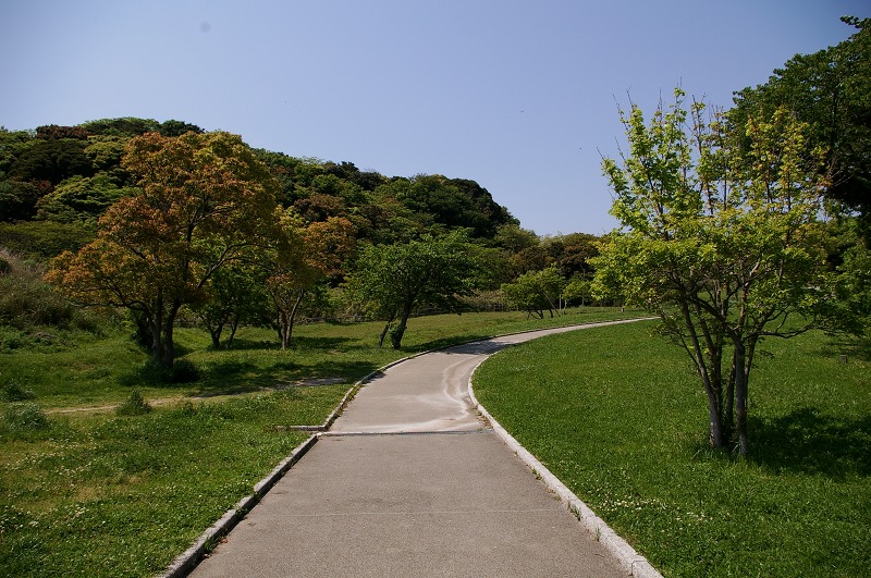 d0031171_9224269.jpg