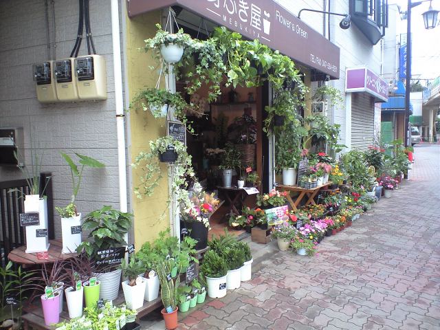 a0120372_9545785.jpg