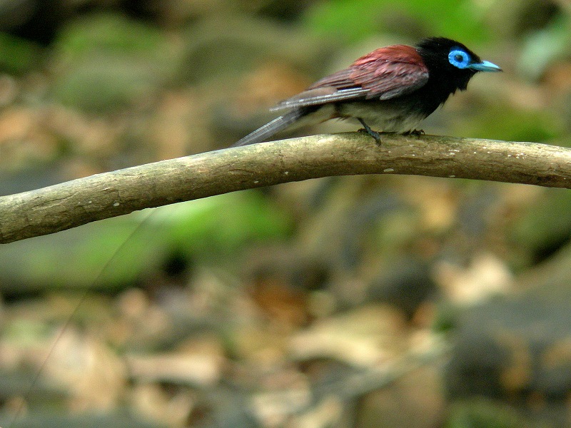 f0137673_1631131.jpg