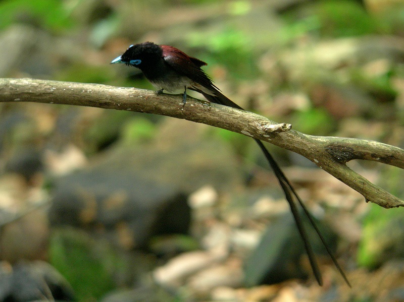 f0137673_1631574.jpg