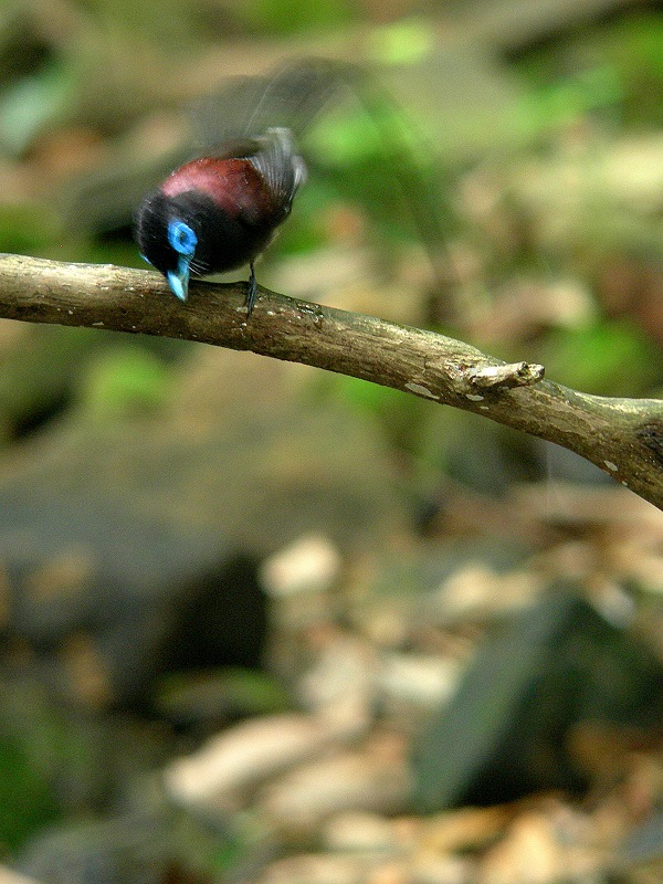 f0137673_16331969.jpg