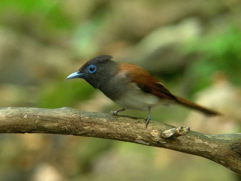 f0137673_16361048.jpg