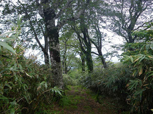 c0002874_1647533.jpg