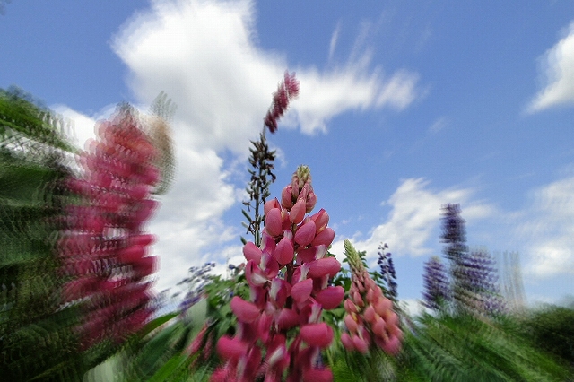 c0183777_7272721.jpg