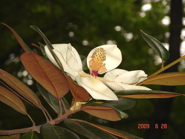 f0104277_8214165.jpg