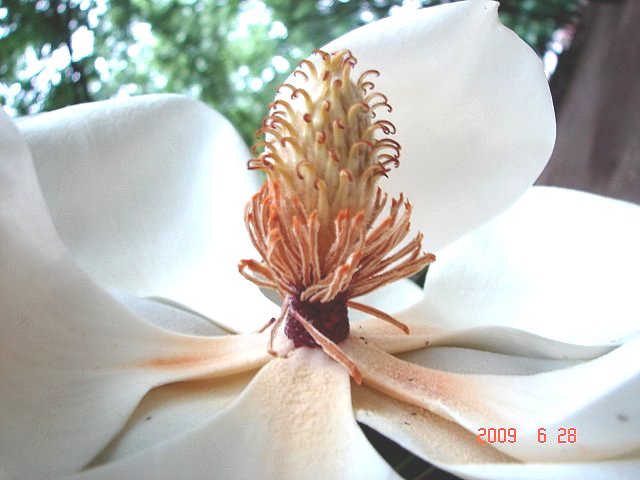 f0104277_8303120.jpg