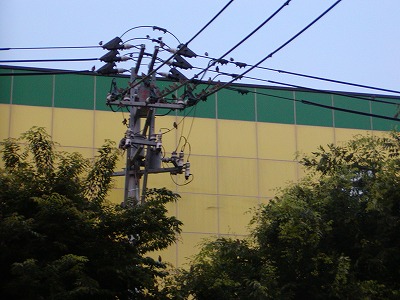 c0131478_20581196.jpg