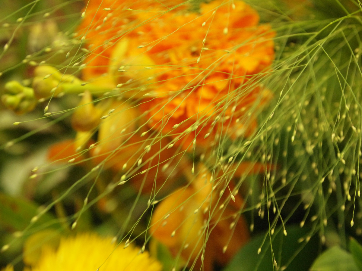 c0036985_194820100.jpg