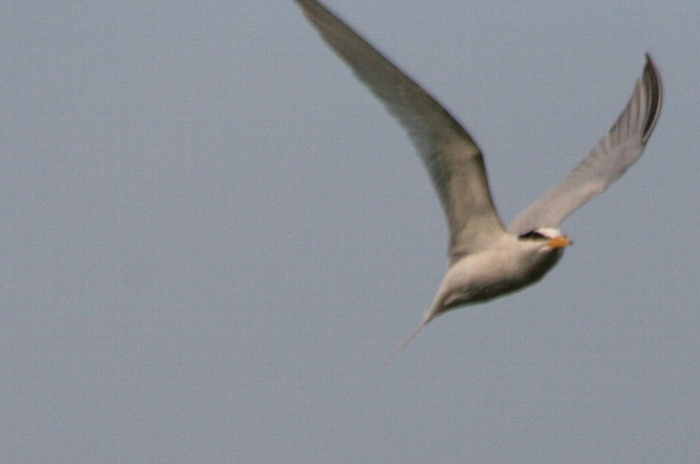 d0133693_21554260.jpg