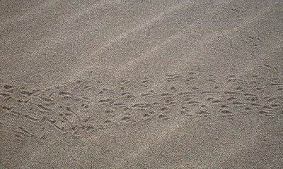 f0164794_13443931.jpg