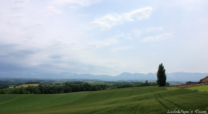f0001895_2058975.jpg