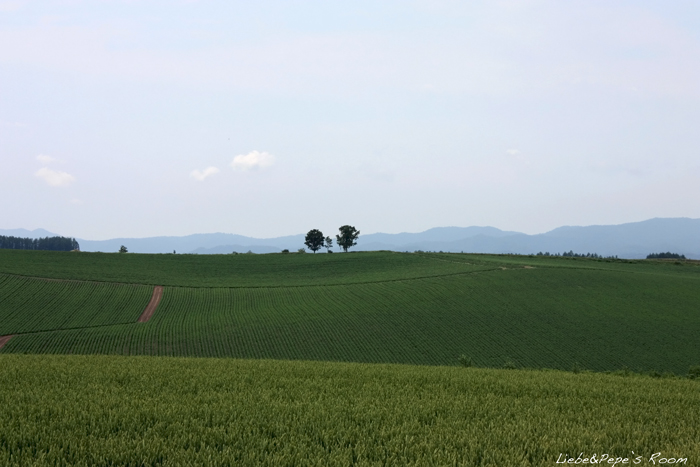 f0001895_20592811.jpg