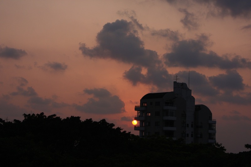 c0193396_16245557.jpg