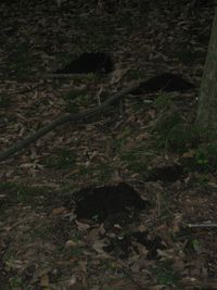 f0201297_2243757.jpg