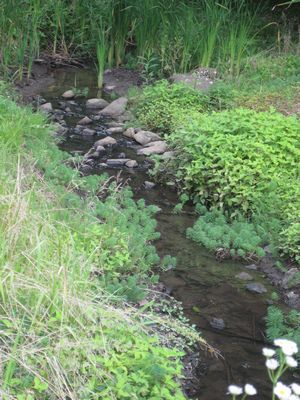 f0201297_22442595.jpg