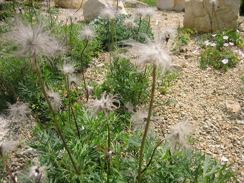 c0196701_1022886.jpg