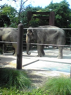 e0041902_17385316.jpg