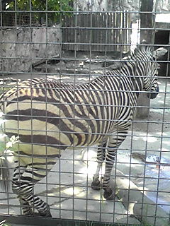 e0041902_1738883.jpg