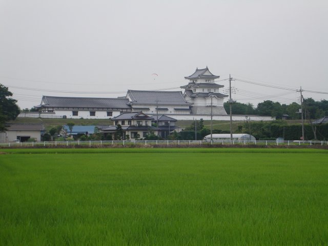 a0116205_22551939.jpg