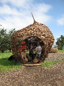 e0089710_435251.jpg
