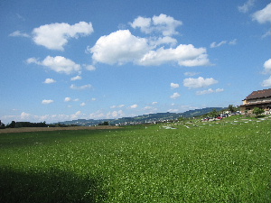 e0089710_4401950.jpg