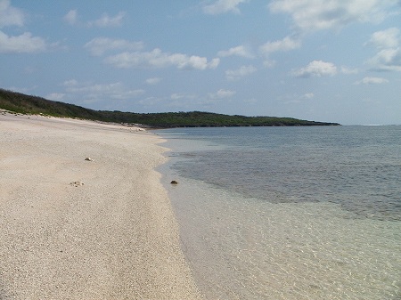 b0174913_16471740.jpg