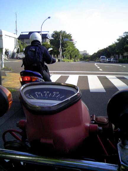 c0083518_8461776.jpg