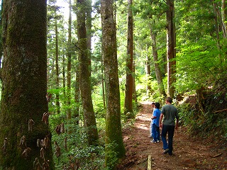 e0002820_17294877.jpg