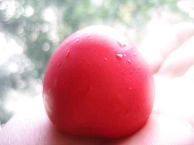 f0031722_1359561.jpg