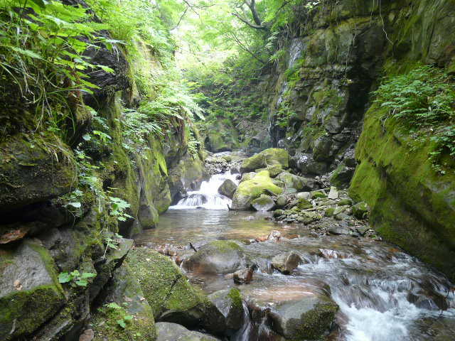 e0147226_23163631.jpg