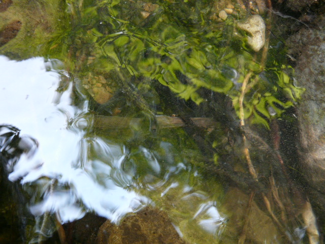 e0147226_23174889.jpg
