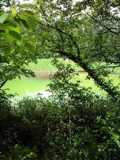 e0164226_10281099.jpg