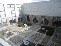 d0086228_13201998.jpg