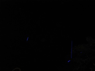 f0162528_13295553.jpg