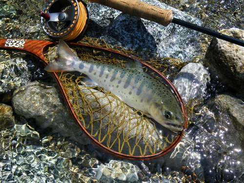 c0090530_2021323.jpg