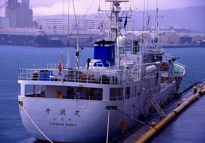 c0123031_22102686.jpg