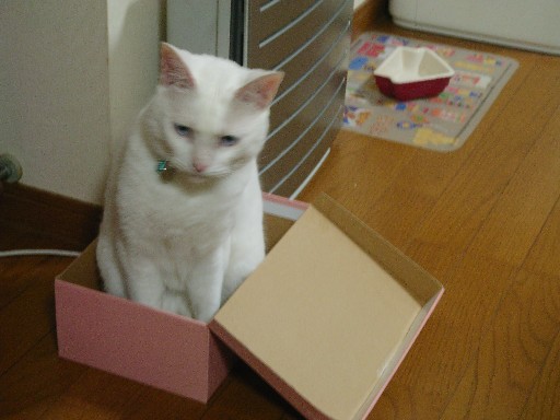 f0002833_044979.jpg