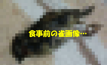 f0008935_4133921.gif