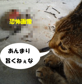 f0008935_463054.gif