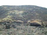 c0077338_21224490.jpg