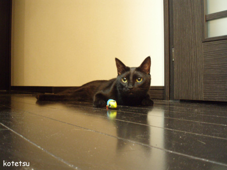 c0132438_2284360.jpg